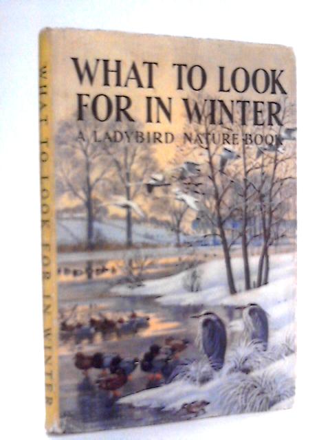 What To Look For In Winter