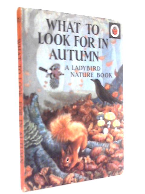 What To Look For In Autumn