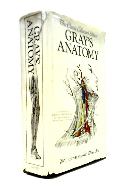 Anatomy, Descriptive and Surgical