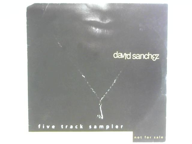 Five Track Sampler 12in By David Sanchez (3)